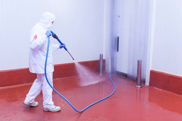 Trusted Grand Mound, WA Pressure Washing Services Experts