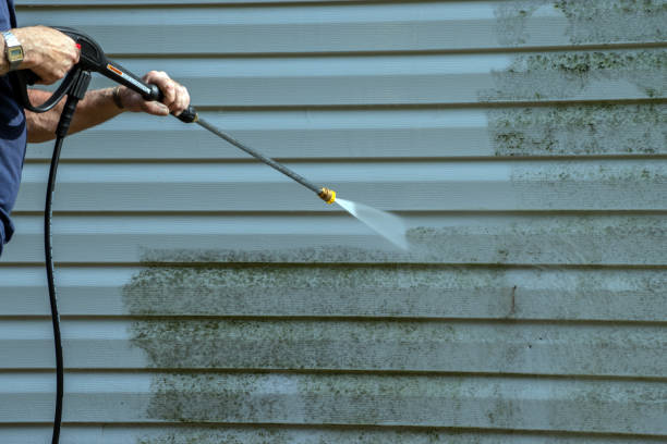 Best Roof Washing  in Grand Mound, WA